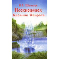 Нообиоцениоз. Касание Сварога